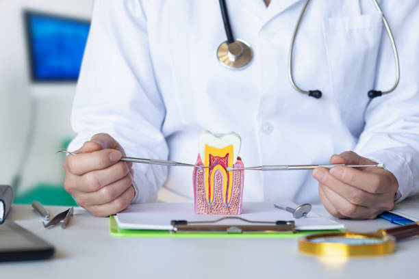 Best Walk-In Emergency Dentist in Palm City, FL